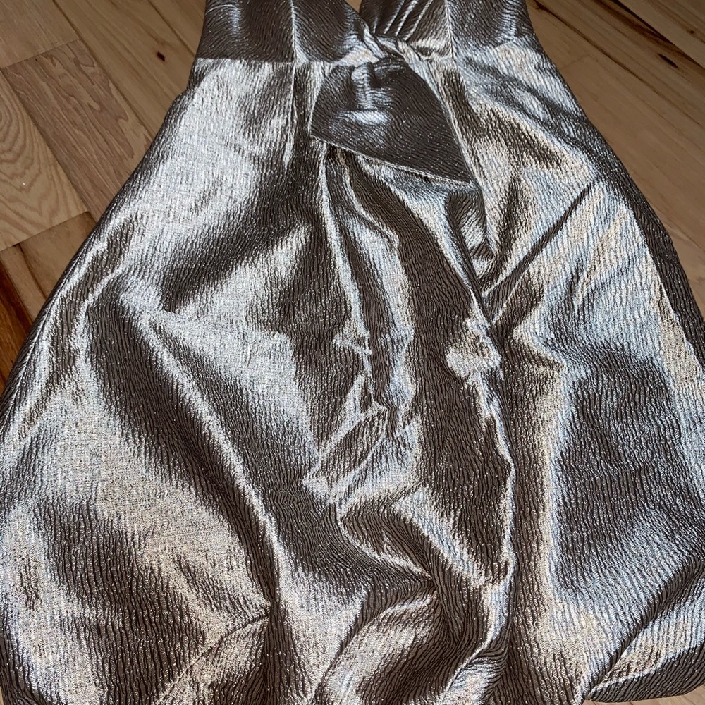 NWT stunning champagne colored cocktail dress